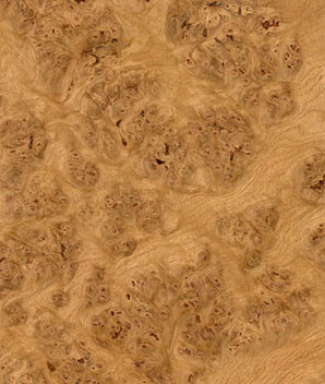 Bur Oak Veneer